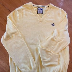 Express V-Neck Sweater